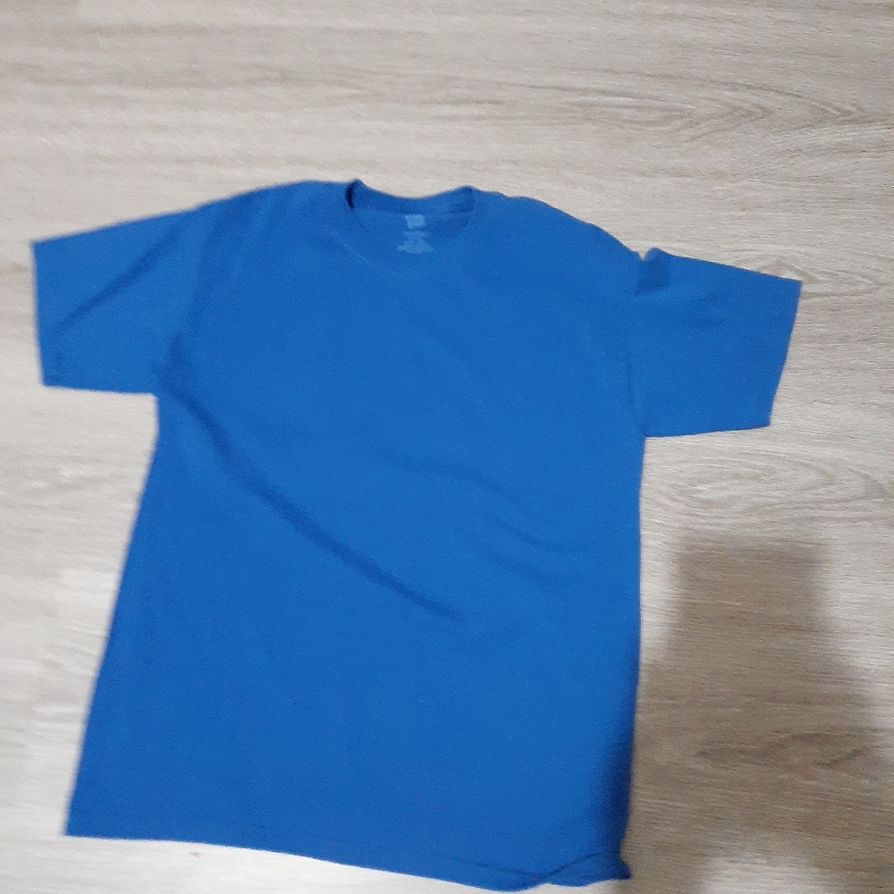 Hanes Comfort Polyester Blue Tee